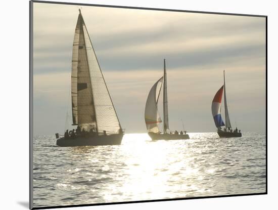 Sunset Yacht Race-Felixcoinc-Mounted Photographic Print