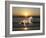 Sunset-Bob Langrish-Framed Photographic Print