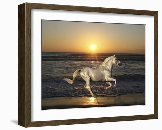 Sunset-Bob Langrish-Framed Photographic Print