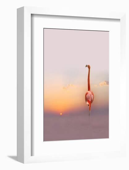 Sunset-Anna Cseresnjes-Framed Photographic Print