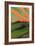 Sunset-Karl Nordstrom-Framed Giclee Print