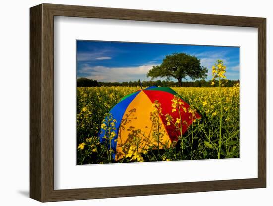 Sunshade, Brightly, Rest in the Colza Field at the Schleswig-Holstein County-Thomas Ebelt-Framed Photographic Print