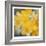 Sunshine Blooms-Kimberly Allen-Framed Premium Giclee Print