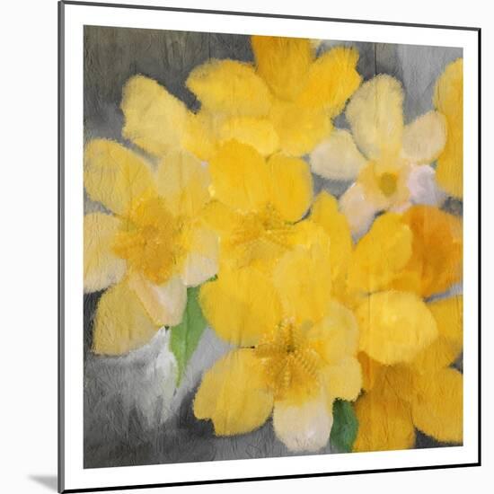 Sunshine Blooms-Kimberly Allen-Mounted Art Print