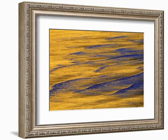 Sunshine Colors Waves off Torrey Pines Cliffs, La Jolla, California, USA-Arthur Morris-Framed Photographic Print