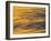 Sunshine Colors Waves off Torrey Pines Cliffs, La Jolla, California, USA-Arthur Morris-Framed Photographic Print