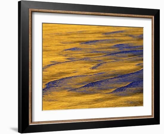 Sunshine Colors Waves off Torrey Pines Cliffs, La Jolla, California, USA-Arthur Morris-Framed Photographic Print