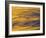 Sunshine Colors Waves off Torrey Pines Cliffs, La Jolla, California, USA-Arthur Morris-Framed Photographic Print