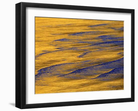 Sunshine Colors Waves off Torrey Pines Cliffs, La Jolla, California, USA-Arthur Morris-Framed Photographic Print