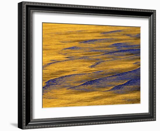 Sunshine Colors Waves off Torrey Pines Cliffs, La Jolla, California, USA-Arthur Morris-Framed Photographic Print