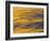 Sunshine Colors Waves off Torrey Pines Cliffs, La Jolla, California, USA-Arthur Morris-Framed Photographic Print