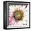 Sunshine Flower I-Leslie Bernsen-Framed Giclee Print