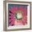 Sunshine Flower III-Leslie Bernsen-Framed Art Print