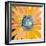 Sunshine Flower IV-Leslie Bernsen-Framed Art Print