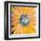 Sunshine Flower IV-Leslie Bernsen-Framed Art Print