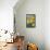Sunshine I-Sloane Addison  -Framed Stretched Canvas displayed on a wall