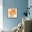 Sunshine Poppy III-Chris Paschke-Framed Premium Giclee Print displayed on a wall