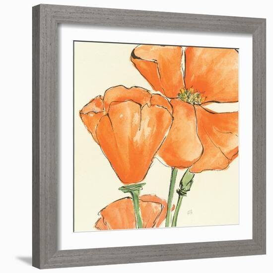 Sunshine Poppy III-Chris Paschke-Framed Premium Giclee Print