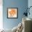 Sunshine Poppy III-Chris Paschke-Framed Art Print displayed on a wall