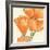 Sunshine Poppy III-Chris Paschke-Framed Art Print