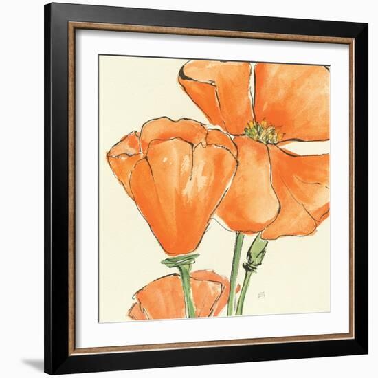 Sunshine Poppy III-Chris Paschke-Framed Art Print