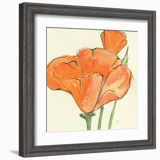 Sunshine Poppy IV-Chris Paschke-Framed Art Print