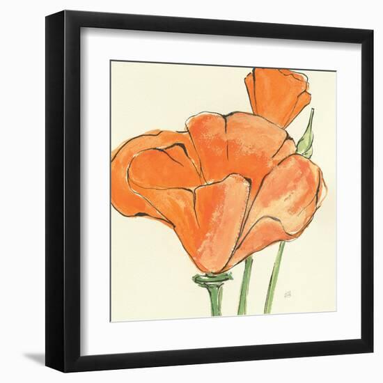 Sunshine Poppy IV-Chris Paschke-Framed Art Print