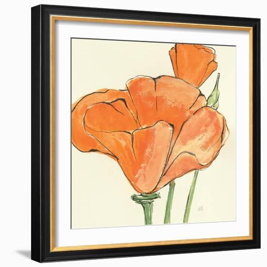 Sunshine Poppy IV-Chris Paschke-Framed Art Print