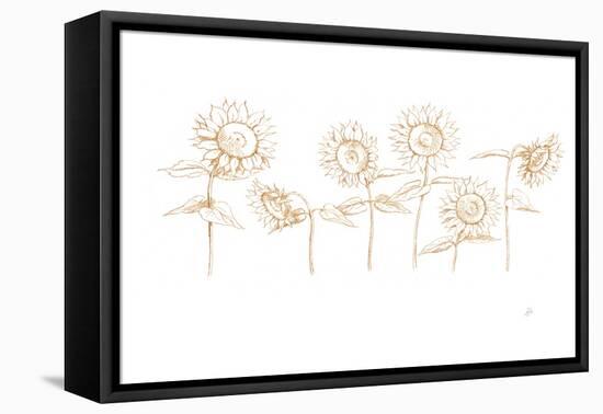 Sunshine Seeds III-Daphne Brissonnet-Framed Stretched Canvas