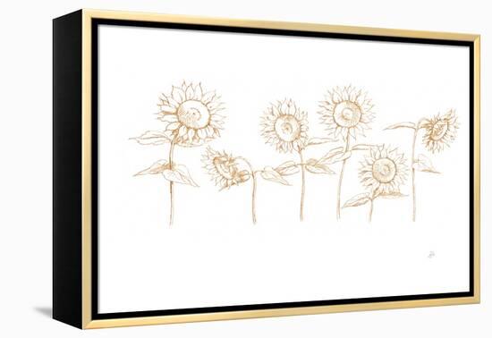 Sunshine Seeds III-Daphne Brissonnet-Framed Stretched Canvas