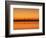 Sunshine Skyway Bridge over Tampa Bay from Fort De Soto Park, Florida, USA-Adam Jones-Framed Photographic Print