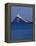 Sunshine Skyway Bridge, Tampa Bay, Saint Petersburg, Florida-John Coletti-Framed Premier Image Canvas