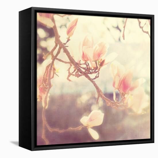 Sunshine Smile-Myan Soffia-Framed Stretched Canvas