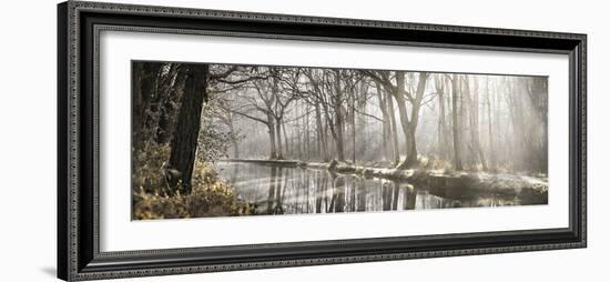 Sunshine Strolls-Assaf Frank-Framed Giclee Print