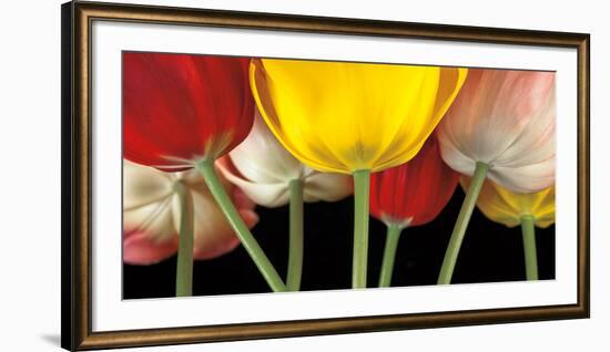 Sunshine Tulips-Assaf Frank-Framed Art Print