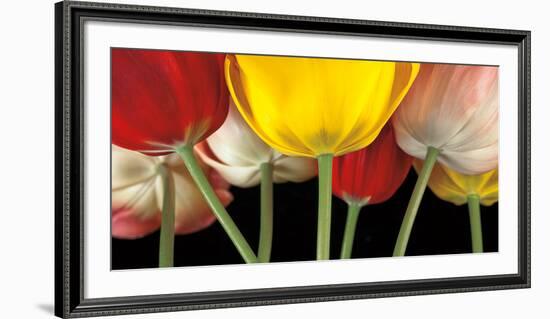 Sunshine Tulips-Assaf Frank-Framed Art Print