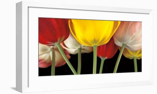 Sunshine Tulips-Assaf Frank-Framed Art Print