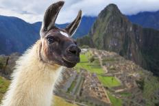 Machu Picchu, Peru, UNESCO World Heritage Site. One of the New Seven Wonders of the World-sunsinger-Photographic Print