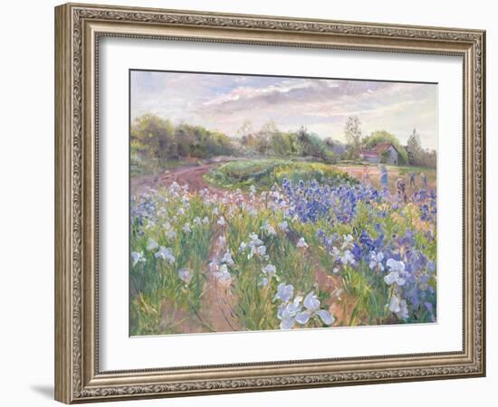 Sunsparkle on Irises, 1996-Timothy Easton-Framed Premium Giclee Print