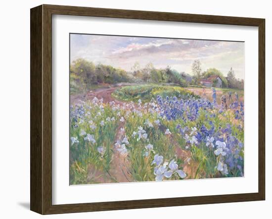 Sunsparkle on Irises, 1996-Timothy Easton-Framed Giclee Print