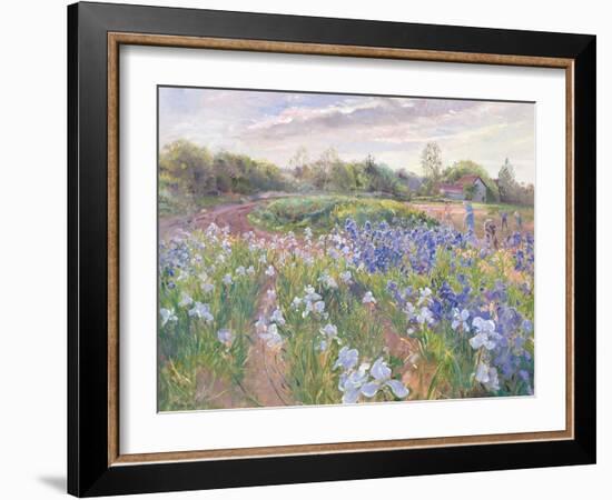 Sunsparkle on Irises, 1996-Timothy Easton-Framed Giclee Print