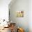 Sunspots II-Jill Martin-Premium Giclee Print displayed on a wall