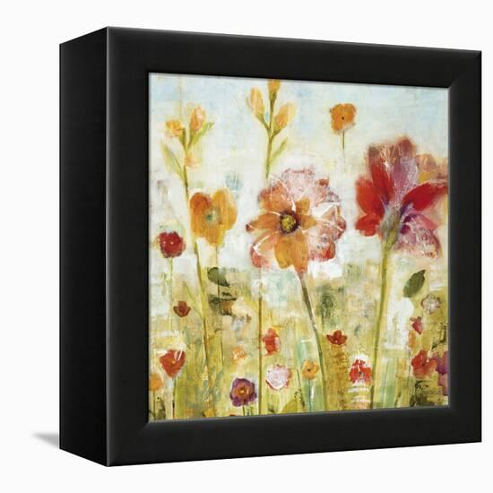 Sunspots II-Jill Martin-Framed Stretched Canvas