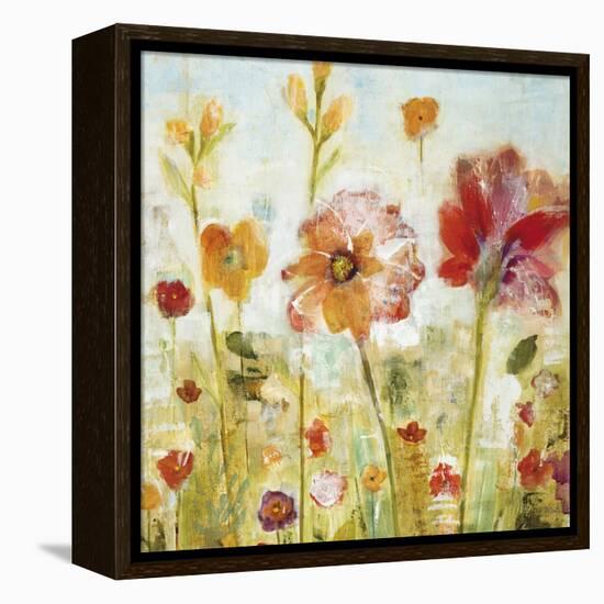 Sunspots II-Jill Martin-Framed Stretched Canvas