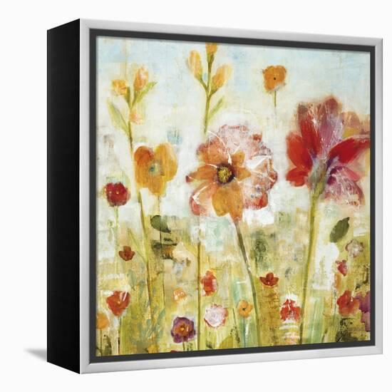 Sunspots II-Jill Martin-Framed Stretched Canvas