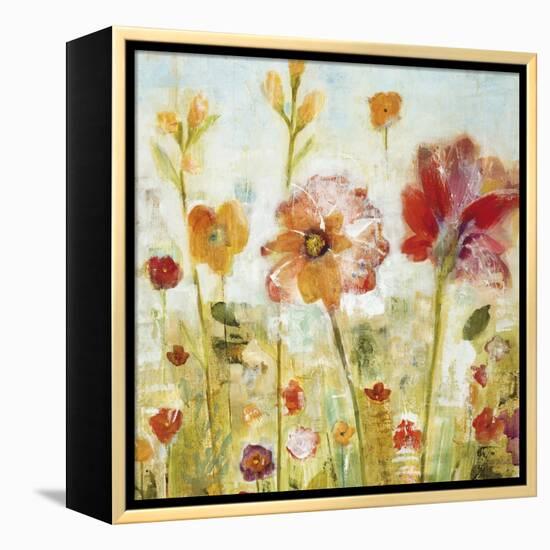 Sunspots II-Jill Martin-Framed Stretched Canvas