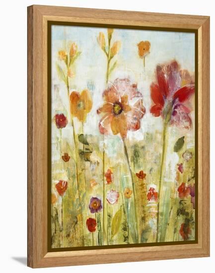 Sunspots II-Jill Martin-Framed Stretched Canvas