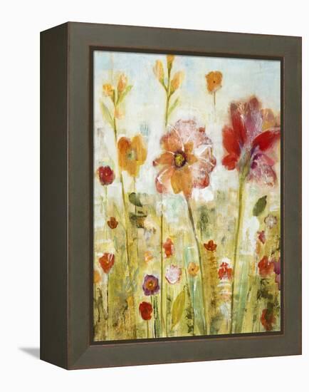 Sunspots II-Jill Martin-Framed Stretched Canvas