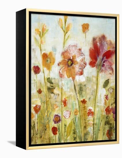 Sunspots II-Jill Martin-Framed Stretched Canvas