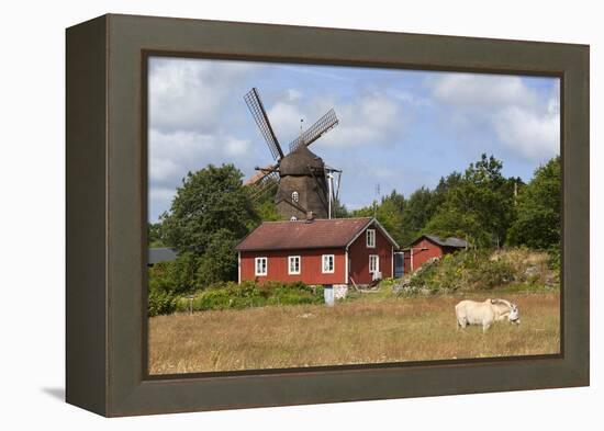 Sunvara Kvarn Windmill, Sunvara, Near Varobacka, Halland, Southwest Sweden, Sweden, Scandinavia-Stuart Black-Framed Premier Image Canvas